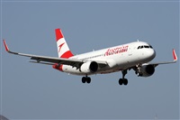 �Alfonso Sol�s - Asociaci�n Canary Islands Spotting. Click to see full size photo