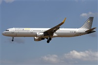 ©Alfonso Solís - Asociación Canary Islands Spotting. Click to see full size photo ©Alfonso Solís - Asociación Canary Islands Spotting. Click to see full size photo