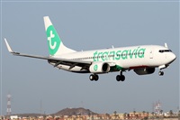 �Alfonso Sol�s - Asociaci�n Canary Islands Spotting. Click to see full size photo