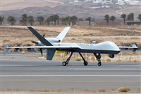 �Adri�n Alonso Lemes - Lanzarote Spotters. Click to see full size photo