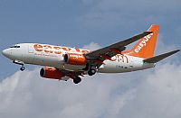 ©Mónica Ros - Costa Brava Spotters. Click to see full size photo ©Mónica Ros - Costa Brava Spotters. Click to see full size photo