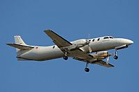 Jos Miguel Bernases - Noisy Spotters. Click to see full size photo