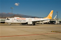 Javier de la Cruz - CANARY ISLANDS SPOTTING. Click to see full size photo