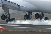 ALAMO AIRLINES.CANARY ISLANDS SPOTTING. Click to see full size photo