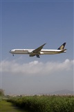 Jos Miguel Bernases - Noisy Spotters. Click to see full size photo