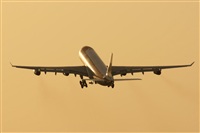 Gerardo A. Prez   Canary Islands Spotting. Click to see full size photo