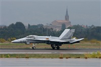 ©José Miguel Bernases - Noisy Spotters. Click to see full size photo ©José Miguel Bernases - Noisy Spotters. Click to see full size photo