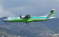 Alejandro Bethencourt (Canary Islands Spotting). Click to see full size photo