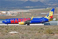 Miguel A. gueda Rguez.  (CANARY ISLANDS SPOTTING). Click to see full size photo