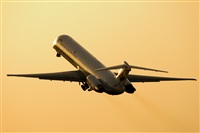 Javier de la Cruz - CANARY ISLANDS SPOTTING. Click to see full size photo