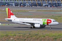 Miguel A. gueda Rguez.  (CANARY ISLANDS SPOTTING). Click to see full size photo