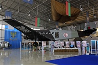 Rui Guerreiro - www.portugalspotters.org. Click to see full size photo