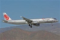 Miguel A. gueda Rguez.  (CANARY ISLANDS SPOTTING). Haz click para ampliar
