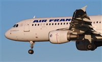 Rubn Gil - Noisy Spotters. Click to see full size photo