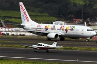 Nacho Rodriguez - Canary Islands Spotting. Click to see full size photo