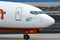Javier de la Cruz - CANARY ISLANDS SPOTTING. Click to see full size photo