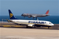 Javier de la Cruz - CANARY ISLANDS SPOTTING. Click to see full size photo