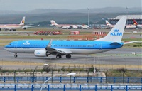 Alejandro Bethencourt (Canary Islands Spotting). Click to see full size photo
