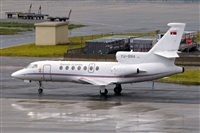 Javier de la Cruz - CANARY ISLANDS SPOTTING. Haz click para ampliar