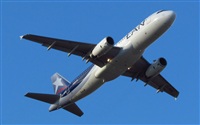 Ivan Nievas Zorn -Spotters Cordoba-. Click to see full size photo