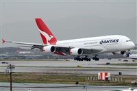 Ana L@dy Spotter. Click to see full size photo