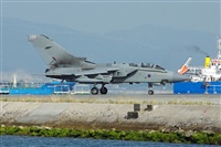 Justo Miguel Prieto. ( Malaga Spotters). Click to see full size photo