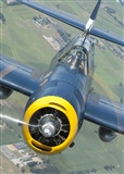 Click here to see full size photo
