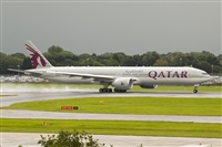 Javier de la Cruz - CANARY ISLANDS SPOTTING. Click to see full size photo