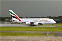 Javier de la Cruz - CANARY ISLANDS SPOTTING. Click to see full size photo