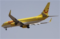 Alfonso Sols - Asociacin Canary Islands Spotting. Click to see full size photo