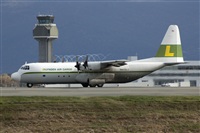 Chalo Canary Islands Spotting. Click to see full size photo