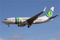 ©Alfonso Solís - Asociación Canary Islands Spotting. Click to see full size photo ©Alfonso Solís - Asociación Canary Islands Spotting. Click to see full size photo