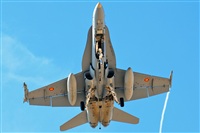 J. Victor Vega-Gran Canaria Spotters. Click to see full size photo