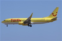 ©Alfonso Solís - Asociación Canary Islands Spotting. Click to see full size photo ©Alfonso Solís - Asociación Canary Islands Spotting. Click to see full size photo