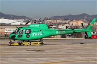 Rubn Gil - Noisy Spotters. Click to see full size photo