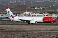 ©Alfonso Solís - Asociación Canary Islands Spotting. Click to see full size photo ©Alfonso Solís - Asociación Canary Islands Spotting. Click to see full size photo