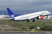 ©Alfonso Solís - Asociación Canary Islands Spotting. Click to see full size photo ©Alfonso Solís - Asociación Canary Islands Spotting. Click to see full size photo