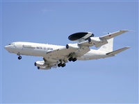 Paco Muoz Arencibia - Gran Canaria Spotters. Click to see full size photo