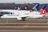 Rubn Gil - Noisy Spotters. Click to see full size photo