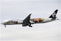 Ana L@dy Spotter. Haz click para ampliar