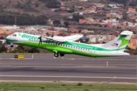 Javier de la Cruz - CANARY ISLANDS SPOTTING. Haz click para ampliar
