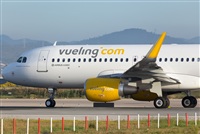 Miguel Alia - Noisy Spotters. Click to see full size photo
