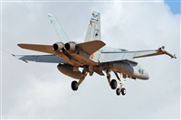 J. Victor Vega-Gran Canaria Spotters. Click to see full size photo