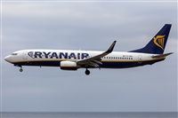 Florencio Martn Melin - Lanzarote Spotters. Click to see full size photo