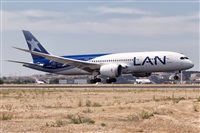 Javier de la Cruz - CANARY ISLANDS SPOTTING. Click to see full size photo