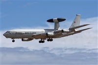 Bartolom Fernndez - Gran Canaria Spotters. Click to see full size photo