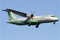 Alfonso Sols - Asociacin Canary Islands Spotting. Haz click para ampliar