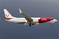 Saimon J Rodriguez   -   Canary Islands Spotting. Click to see full size photo