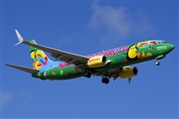 Saimon J Rodriguez   -   Canary Islands Spotting. Haz click para ampliar