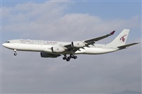 Rubn Gil - Noisy Spotters. Click to see full size photo